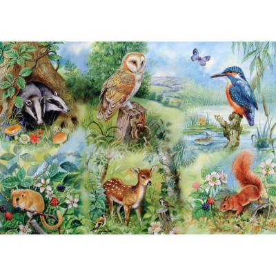 The-House-of-Puzzles-1424 Pièces XXL - Nature Study