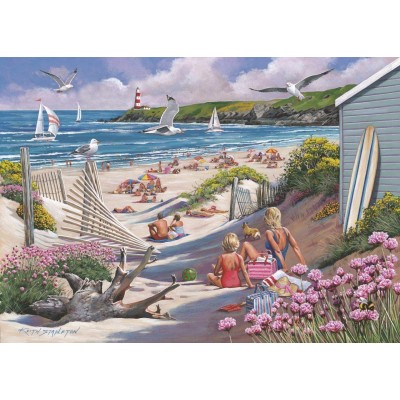 The-House-of-Puzzles-4968 Driftwood Bay