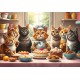 Chats Pâtissiers en Action
