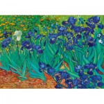 Art-by-Bluebird-60006 Vincent Van Gogh - Irises, 1889