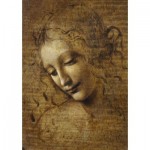 Art-by-Bluebird-60117 Leonardo da Vinci - La Scapigliata, 1506-1508