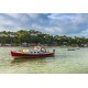 Bateaux dans le Bassin d'Arcachon