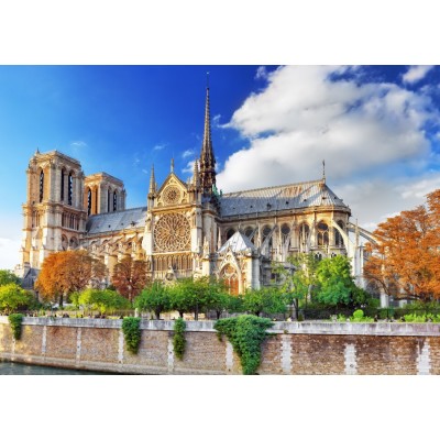 Bluebird-Puzzle-F-90001 Cathédrale Notre-Dame de Paris