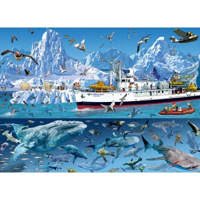 Bluebird-Puzzle-F-90038 François Ruyer - Arctic - Bluebird Boat