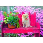 Bluebird-Puzzle-F-90107 Puppy in the Colorful Garden