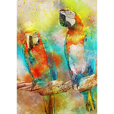 Bluebird-Puzzle-F-90136 Parrots