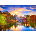 Bluebird-Puzzle-F-90257 Belvedere Castle, New York