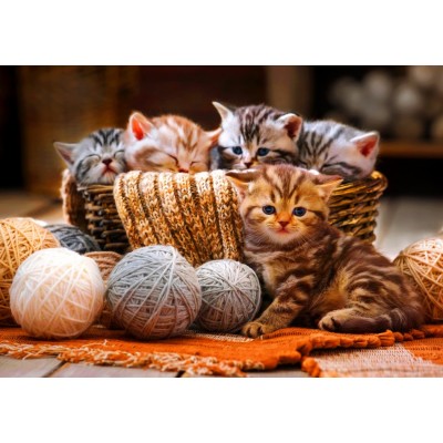 Bluebird-Puzzle-F-90264 Kittens in Basket