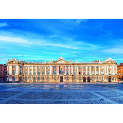 Bluebird-Puzzle-F-90428 Toulouse - Capitole