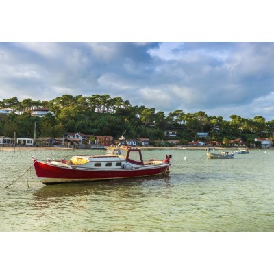 Bluebird-Puzzle-F-90450 Bateaux dans le Bassin d'Arcachon