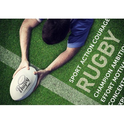 Bluebird-Puzzle-F-90489 Rugby Touch