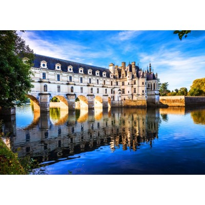 Bluebird-Puzzle-F-90503 Chenonceau