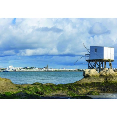 Bluebird-Puzzle-F-90542 Carrelet & Royan