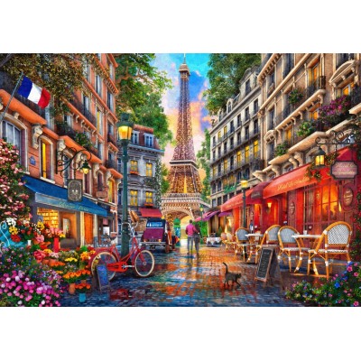 Bluebird-Puzzle-F-90704 Paris Street