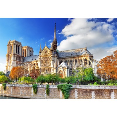 Bluebird-Puzzle-F-90768 Vue sur la Cathédrale Notre-Dame de Paris