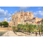Bluebird-Puzzle-F-91026 Palma de Majorque