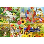 Bluebird-Puzzle-F-91040 Plumes et Compagnie