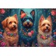 Trio Canin