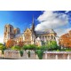 Vue sur la Cathédrale Notre-Dame de Paris