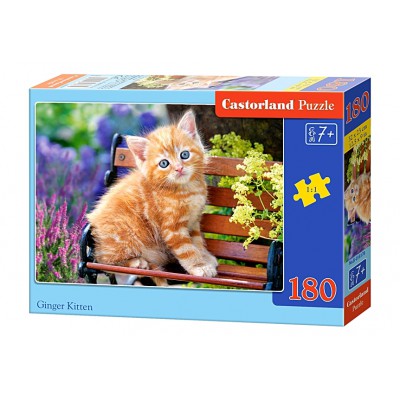 Castorland-018178 Ginger Kitten