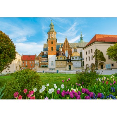 Castorland-53599 Wawel Castle, Cracovie, Pologne