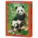 Brunch des Pandas