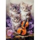 Chatons Musicaux