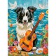 Collie, guitare et la mer