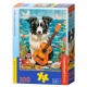 Collie, guitare et la mer