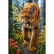 Lion des Montagnes dans la Forêt