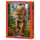 Lion des Montagnes dans la Forêt