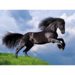 Clementoni-35071 Fresian Black Horse