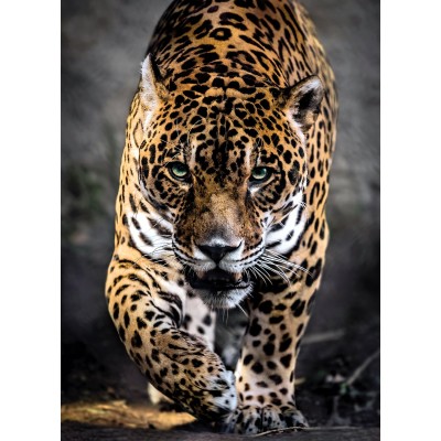 Clementoni-39326 Jaguar