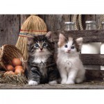 Clementoni-39340 Chatons