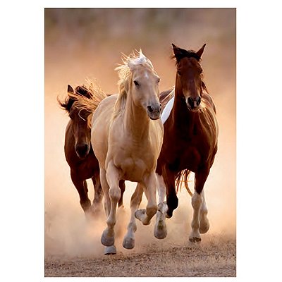 Clementoni-39771 Chevaux au Galop I