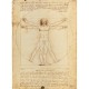 Léonard De Vinci : L'Homme de Vitruve