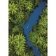 Vue Aérienne Tropicale