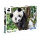 WWF - Panda