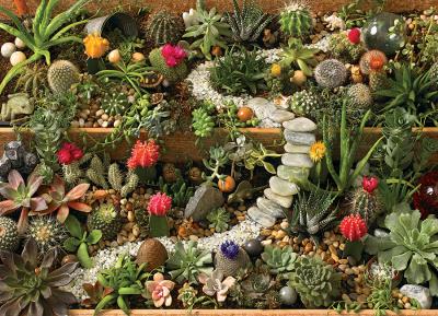 Cobble-Hill-40087 Succulent Garden