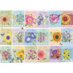 Cobble-Hill-45080 Sachets de Graines