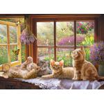 Cobble-Hill-45082 Rayon de Soleil