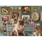 Cobble-Hill-45111 Frenchie