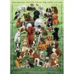 Cobble-Hill-47007 Family - Chiots