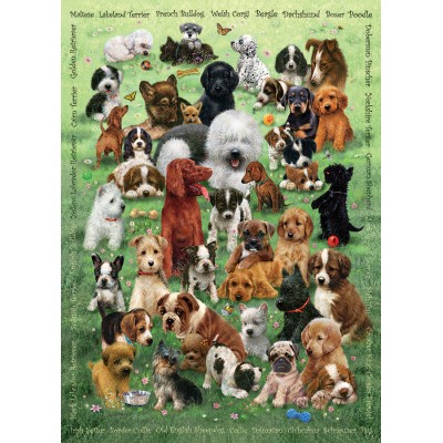 Cobble-Hill-47007 Family - Chiots