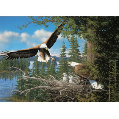 Cobble-Hill-57169 Nesting Eagles