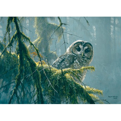 Cobble-Hill-85002 Pièces XXL - Mossy Branches - Spotted Owl