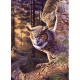 Chasseur le Soir
