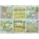 Cottage Gardens