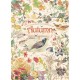 Country Diary - Automne