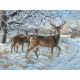 Persis Clayton Weirs - Winter Deer